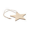 Wooden star shaped hanger