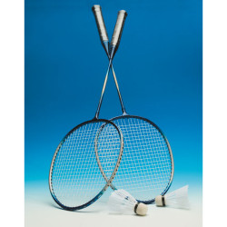 2 player badminton set