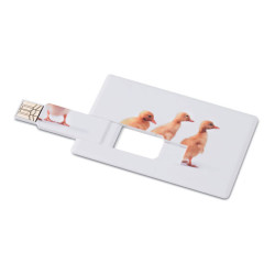 Creditcard. USB flash 32GB