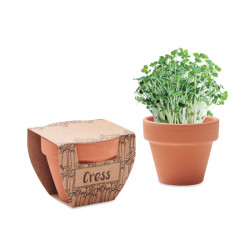 Terracotta pot cress seeds