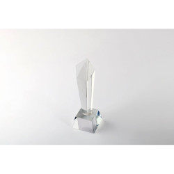 Crystal award in a gift box