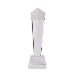 Crystal award in a gift box