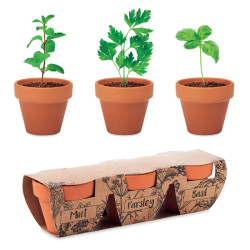 Terracotta 3 herb pot set