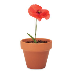 Terracotta pot 'poppy'