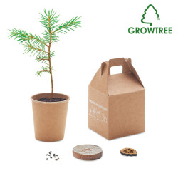 Pine tree set