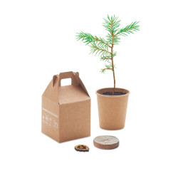 Pine tree set