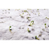 A6 wildflower seed paper sheet