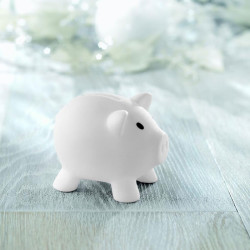 Piggy bank