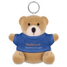 Teddy bear key ring