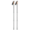 Kijki do nordic walking