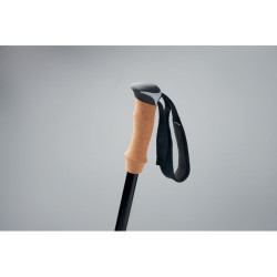 Kijki do nordic walking
