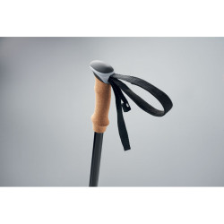 Kijki do nordic walking