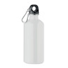 Single wall bottle       500ml