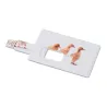 Pendrive 4GB