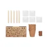 Flowers growing kit