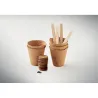 Flowers growing kit