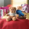 Teddy bear plus with hoodie