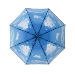 AC-Mini-Pocket Umbrella FARE®-Nature