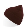 Eko Beanie