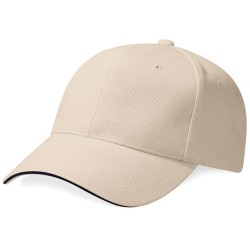 Pro-Style Heavy Brushed Cotton Cap