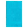 Guest Towel