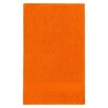 Guest Towel