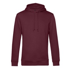 Inspire Hooded Sweat_°