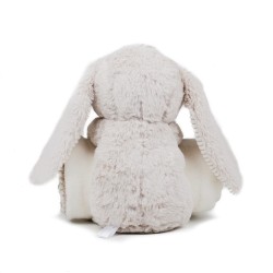 Rabbit And Blanket