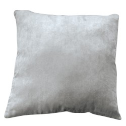 Cushion