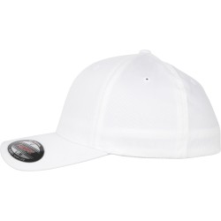 Flexfit Organic Cotton Cap