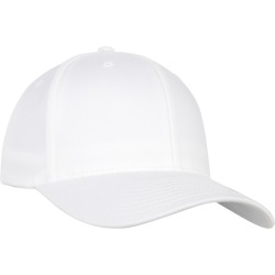 Flexfit Organic Cotton Cap