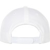 Organic Cotton Snapback