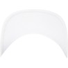 Organic Cotton Snapback