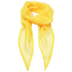 Women´s Colours Collection Chiffon Scarf