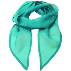 Women´s Colours Collection Chiffon Scarf