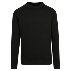 Raglan Sweat Crewneck