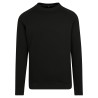 Raglan Sweat Crewneck