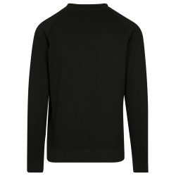 Raglan Sweat Crewneck