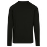 Raglan Sweat Crewneck
