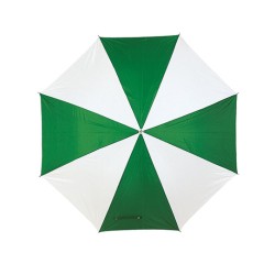 Automatic Umbrella With Plastic Handle