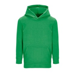 Kids Hoodie Condor