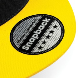 5 Panel Contrast Snapback