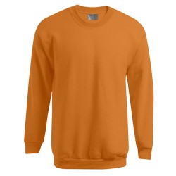 Men´s New Sweater 100