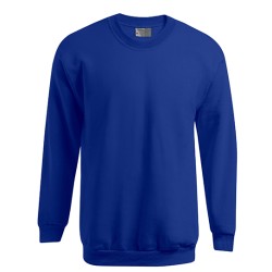 Men´s New Sweater 100