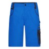 Workwear Bermudas -STRONG-