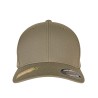 Flexfit Recycled Polyester Cap