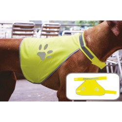 Stretchy Hi-Vis Safety Vest For Dogs Buenos Aires