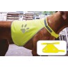 Stretchy Hi-Vis Safety Vest For Dogs Buenos Aires