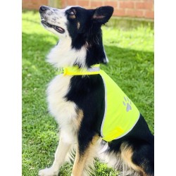 Stretchy Hi-Vis Safety Vest For Dogs Buenos Aires