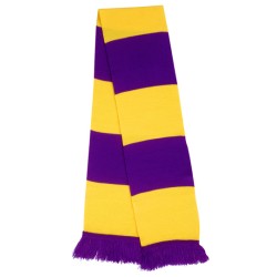 Team Scarf